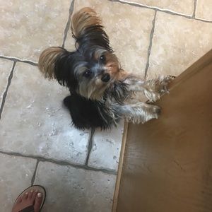 Meet your Posher, Carla